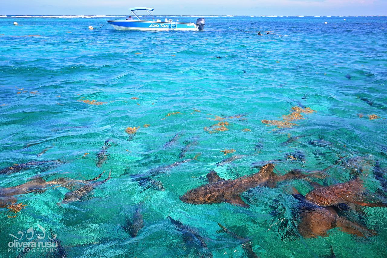 Cayo Espanto Сан-Педро Экстерьер фото